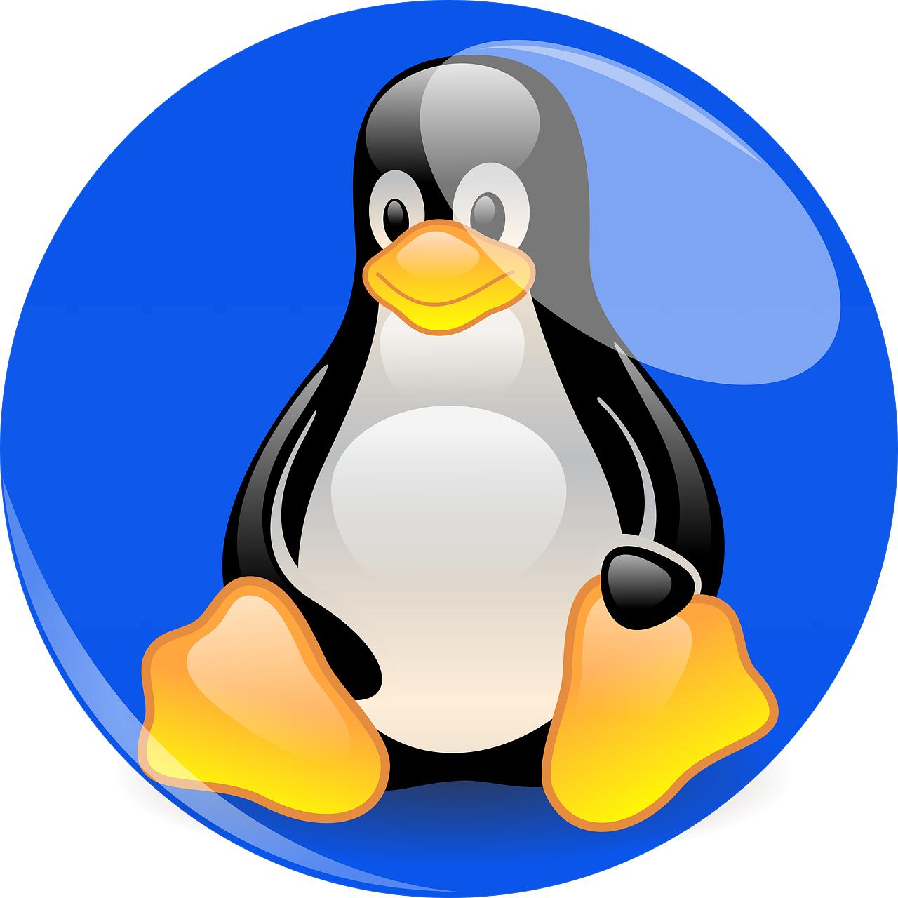 Why Linux is better than Windows