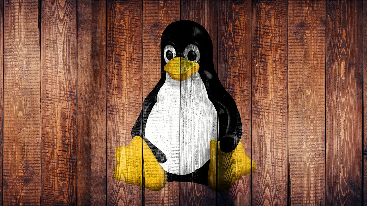 Most Lightweight Linux Distro