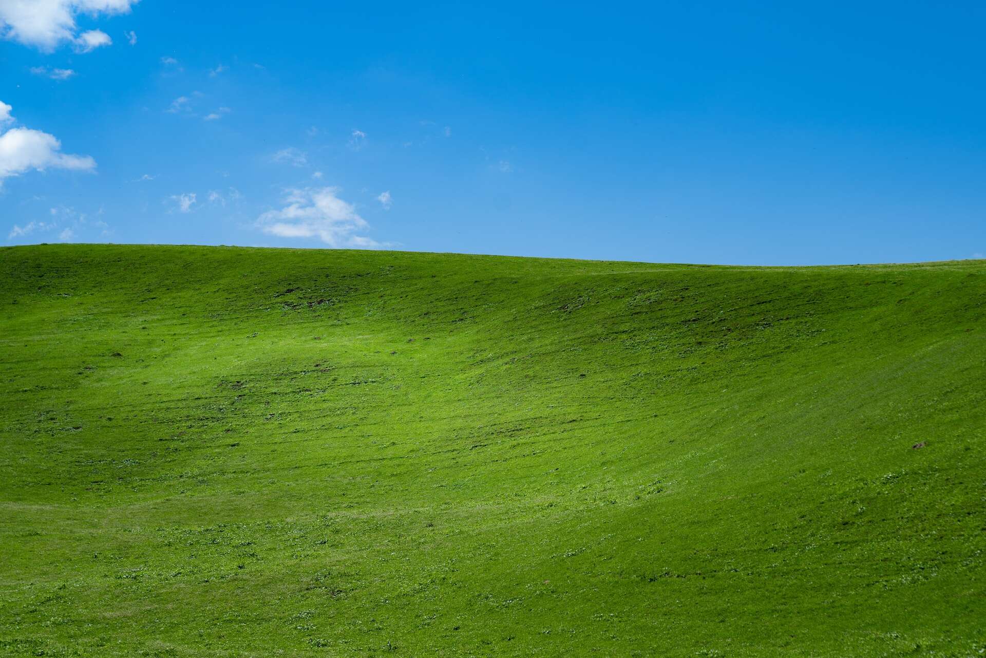 What Was Windows XP